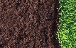 Как улучшить почву на дачном участке?
