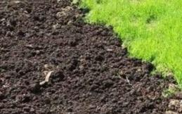 Как узнать тип почвы на дачном участке?